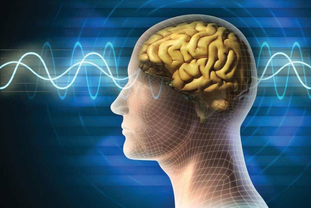 Neurolojî di mezinan de