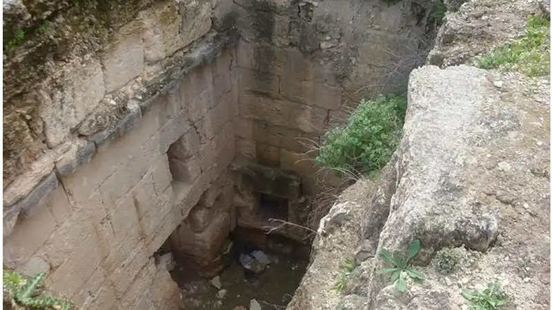 Home 164 اثار غير مكتشفة في قويلبة