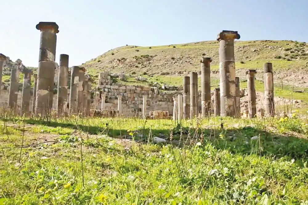 Home 159 اعمدة قويلبه في الربيع