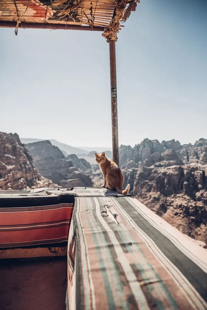 البتراء وادي موسى 