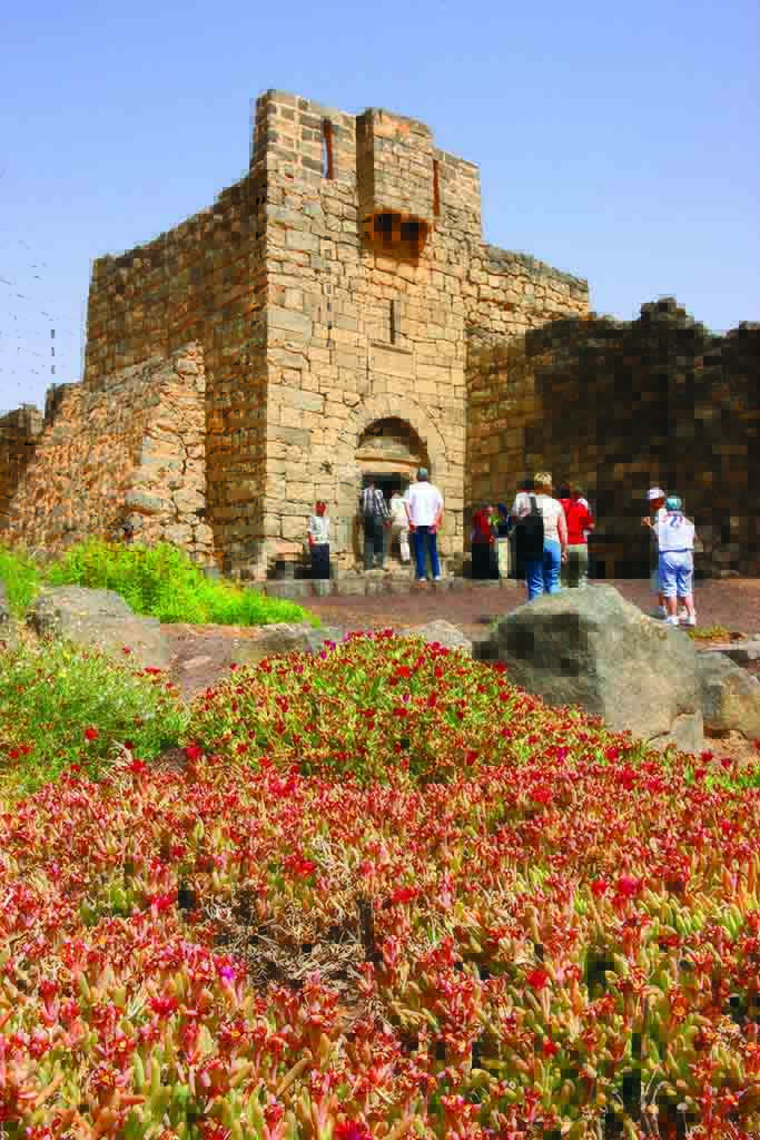 Home 153 قلعة الشوبك الاردن