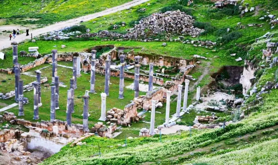 Home 160 قويلبه في الربيع