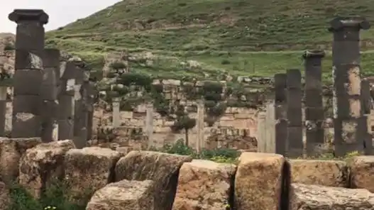 Home 162 منظر عام لقويلبه