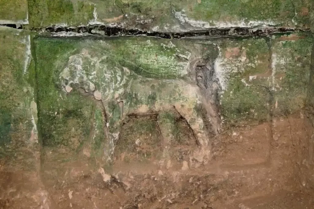 Home 165 نقش اثري اسد في قويلبة